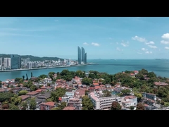 صانع أدوات المائدة والمواد الخام المهنية من الميلامين